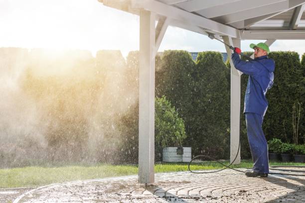 Best Roof Cleaning and Mildew Removal in Duncannon, PA
